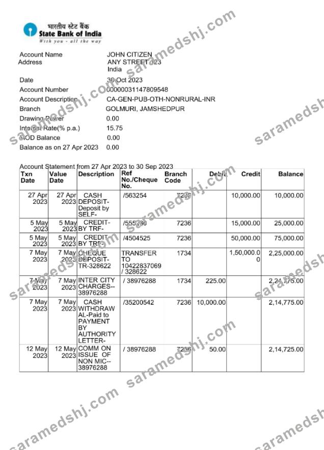 India State Bank of Inida bank statement Word and PDF template scr